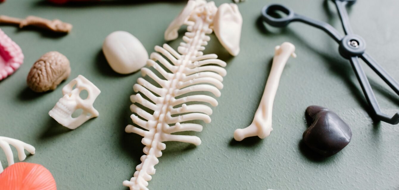 Tailor Surgery - Necesito operarme la columna - estudio digital 3D