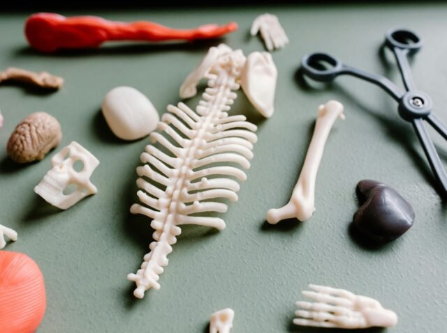 Tailor Surgery - Necesito operarme la columna - estudio digital 3D